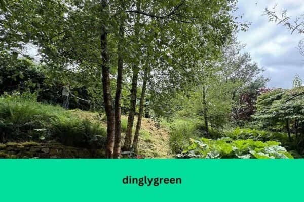 dinglygreen