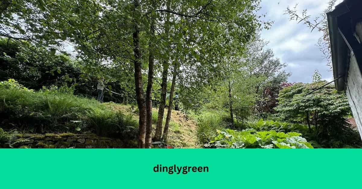 dinglygreen