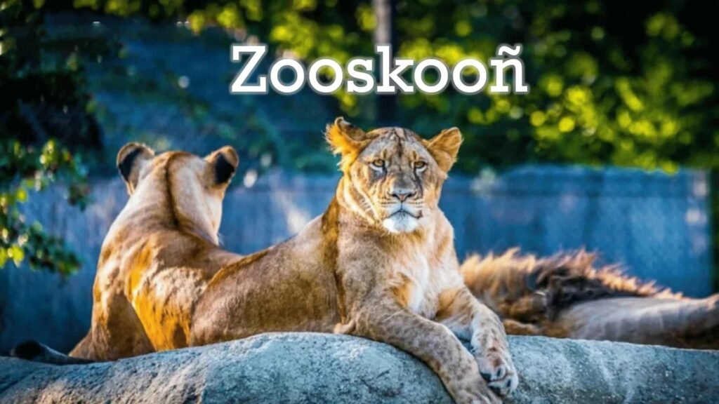 Benefits of Using Zooskooñ